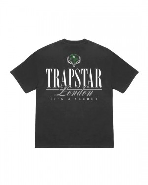 Grey Mens Trapstar Ts Crest 2.0 T-Shirt | DNR-520978